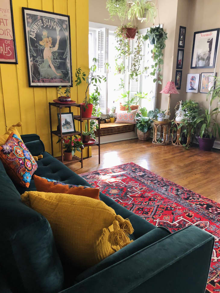 Picture of Plant Filled Rental Apartment Photos | Apartment Therapy